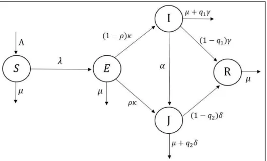 Gambar 5. Diagram Alir Model Matematika Penyebaran Penyakit Virus Ebola  Berdasarkan  diagram  alir  pada  Gambar  5,  didapat  persamaan  dari  model  untuk  masing-masing kelompok yaitu: 