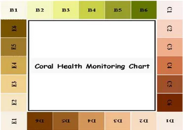 Gambar 7.Coral Colour Reference (Siebeck, Logan, Marshall, 2008)  2.7.1 Cara Pemakaian Coral Watch 