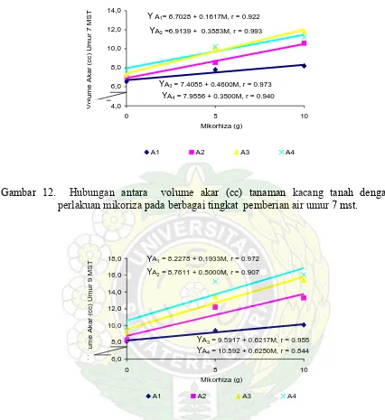 Gambar 12.  Hubungan antara  volume akar (cc) tanaman kacang tanah dengan  