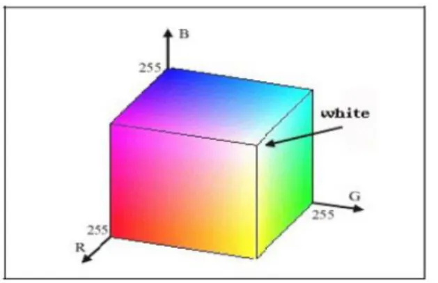 Gambar 1. Komponen warna RGB sebagai vektor intensitas warna  Informasi  warna  diwakili  dalam  RGB  (red,  green,  blue)  secara  luas  menggunakan  kombinasi  merah,  hijau  dan  biru  yang  dibentuk  dalam  sistem  koordinat kartesius