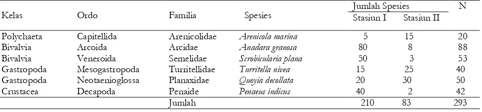 Tabel 4.2 Data Keanekaragaman Makrozoobentos di Pesisir Pantai Desa Panggung  