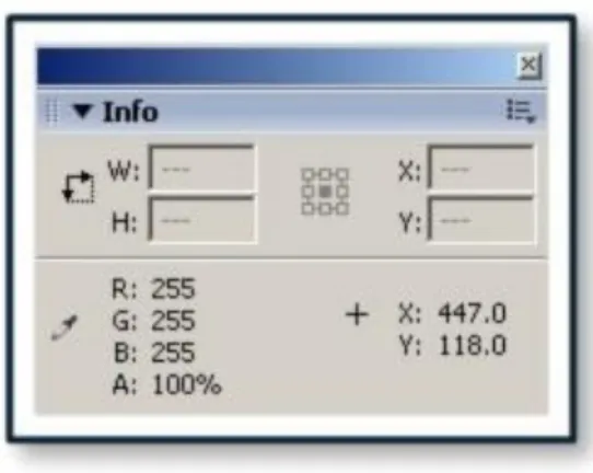 Gambar 2.3 Panel Info 
