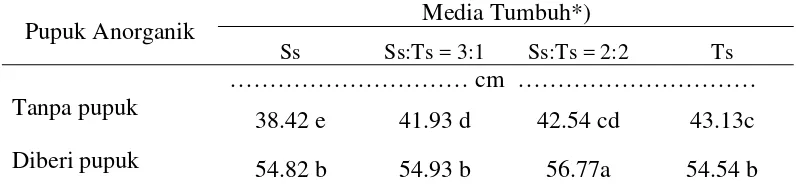 Tabel 3. Pengaruh Interaksi Pupuk Anorganik dan Media Tumbuh Terhadap Tinggi Tanaman (cm) Umur 5 Bulan 