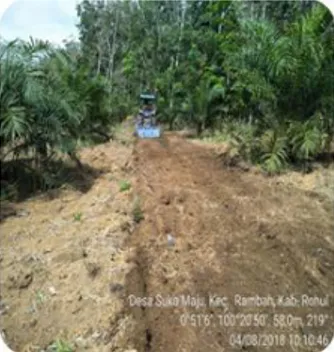 Gambar 9. Pengolahan tanah dan Pembersihan Lorong   antara tanaman kelapa sawit 