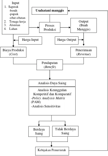 Gambar 3.   Paradigma Analisis Keunggulan Kompetitif dan Keunggulan Komparatif Usahatani Manggis di Kabupaten Tanggamus, 2012 