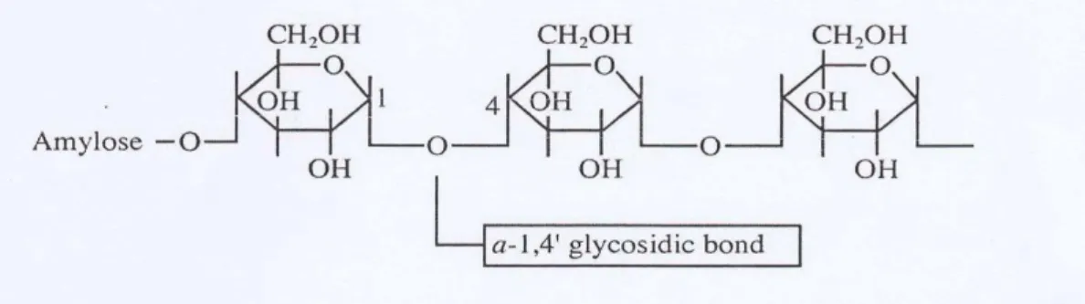 Gambar 3. Struktur amilosa  Sumber:  Winarno, 1997 