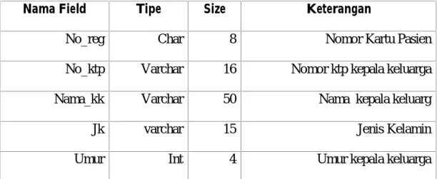 Tabel 4.2 Spesifikasi File Kartu Pasien