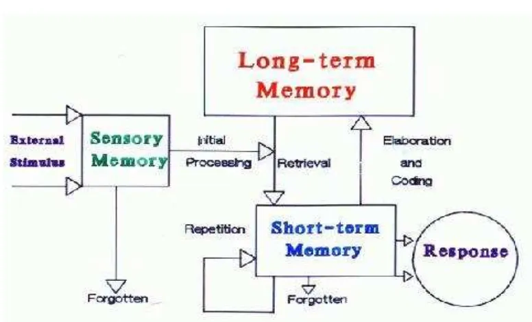 Gambar 1. Model belajar berdasarkan teori pemrosesan informasi 