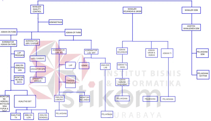 Gambar 2.1 Struktur Organisasi PG Djombang Baru MANAJER QUALITY CONTROLADMINISTRASIASMAN ON FARMKORDINATOR JURU GAMBARASMAN OF FARMKORDINATOR LAB