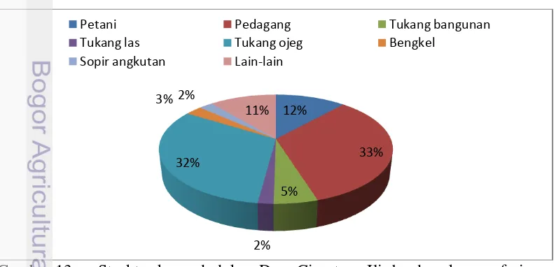 Gambar 12 Distribusi penduduk berdasarkan kelompok usia (2012) 