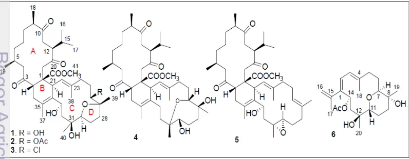Gambar 2. Struktur lobophytones O–T (1–6) (Yan et al. 2010) 