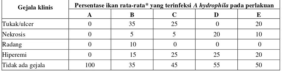 Tabel 1. Persentase rata-rata ikan uji yang terinfeksi A. hydrophila yang diberi perlakuan mahkota dewa dengan dosis berbeda