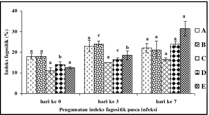 Gambar 9.  Rataan nilai indeks fagositik pada darah ikan patin yang diberi perlakuan mahkota dewa dosis berbeda