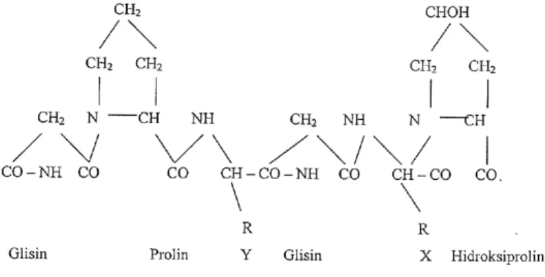 Gambar 3. Struktur kimia gelatin 