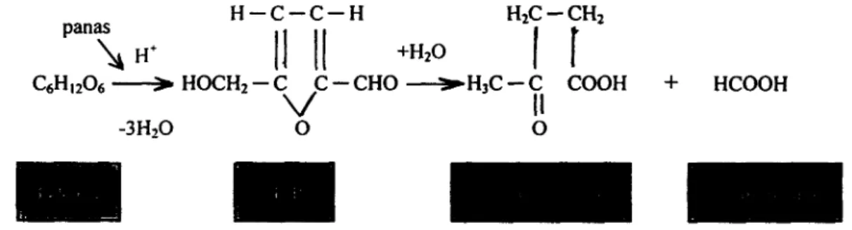 Gambar 1.  Reaksi Pembentukan HMF, Asam Levulinat,  dan  Asam Format dari  Monosakarida (Heksosa) dalam  Suasana  Asam (Achmadi, 1991)  Oksigen dari udara  akan  mengoksidasi HMF sehingga membentuk warna gelap