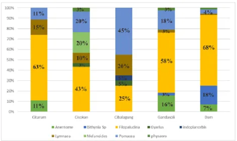 Gambar 2. Komposisi Kelimpahan Makrozoobenthos di Perairan Waduk Cirata Keong  Pomacea  secara  umum 