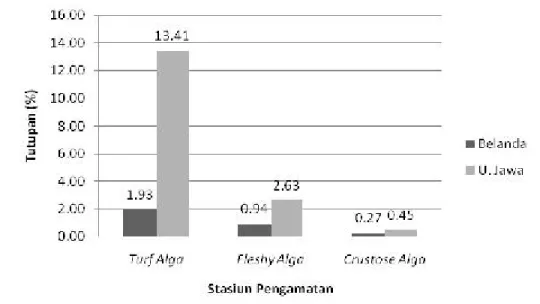 Gambar 16 Distribusi persentase tutupan makro alga di masing- masing    stasiun  pengamatan