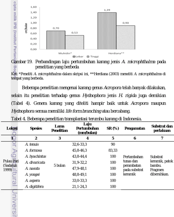 Gambar 19.   Perbandingan laju pertumbuhan karang jenis A. microphthalma  pada  penelitian yang berbeda 