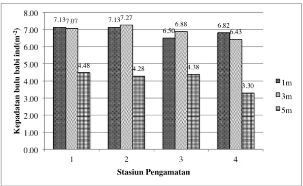 Gambar 9. Grafik kepadatan bulu babi pada tiap stasiun 