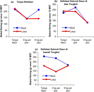 Gambar 4. Perbedaan antara Bobot Kering (g) Tanaman Jagung pada Berbagai  Varietas yang  Mendapat Perlakuan  Pemberian  NaCl terhadap Defoliasi Daun Umur 12 MST  
