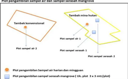 Gambar 2.  Plot pengambilan sampel air dan sampel serasah mangrove  3.  Pengumpulan Data 