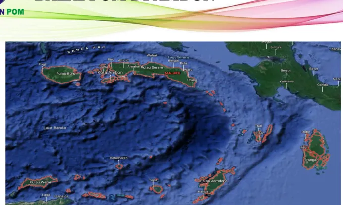 Gambar 1. 7 Kondisi Geografis Provinsi Maluku