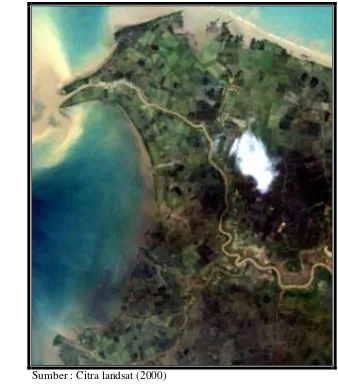 Gambar 5.  Peta Citra  Kecamatan Muara Gembong, Kabupaten Bekasi 