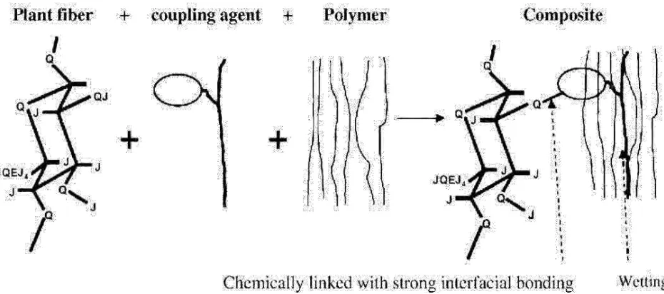 Fig. 1.3 Schematic figure of the mechanism of coupling agent between hydrophilic fiber and 