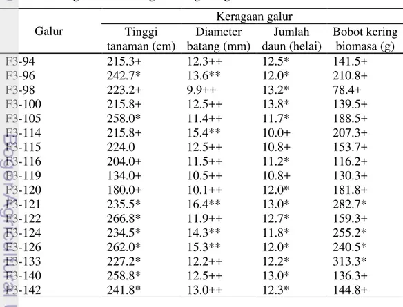 Tabel  1 Keragaan karakter agronomi galur-galur F3   Galur     Keragaan galur     Tinggi  tanaman (cm)  Diameter  batang (mm)  Jumlah  daun (helai)  Bobot kering biomasa (g)  F3-94  215.3+  12.3++  12.5*  141.5+  F3-96  242.7*  13.6**  12.0*  210.8+  F3-98