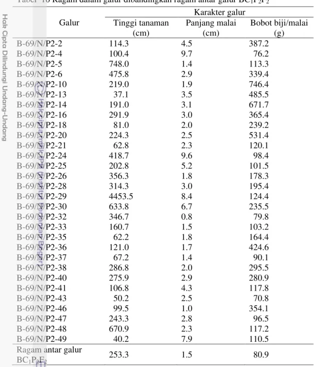Tabel  10 Ragam dalam galur dibandingkan ragam antar galur BC 1 P 2 F 2