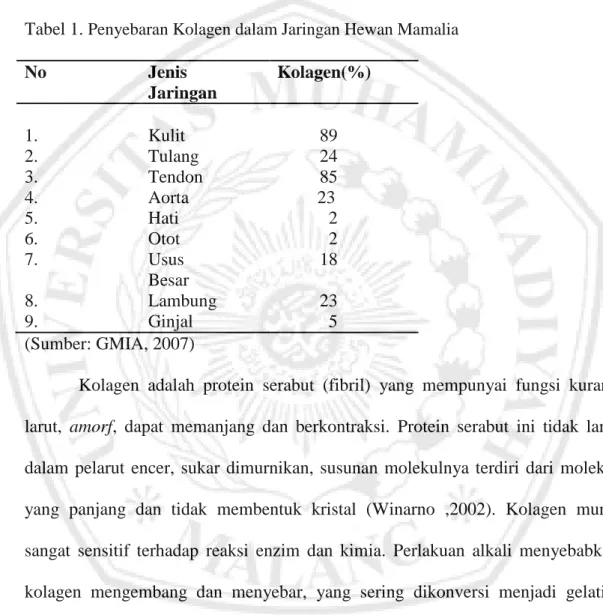 Tabel 1.  Penyebaran Kolagen dalam Jaringan Hewan Mamalia  No  Jenis                     Jaringan  Kolagen(%)      1