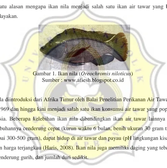 Gambar 1. Ikan nila (Oreochromis niloticus)  Sumber : www.afiesh.blogspot.co.id 