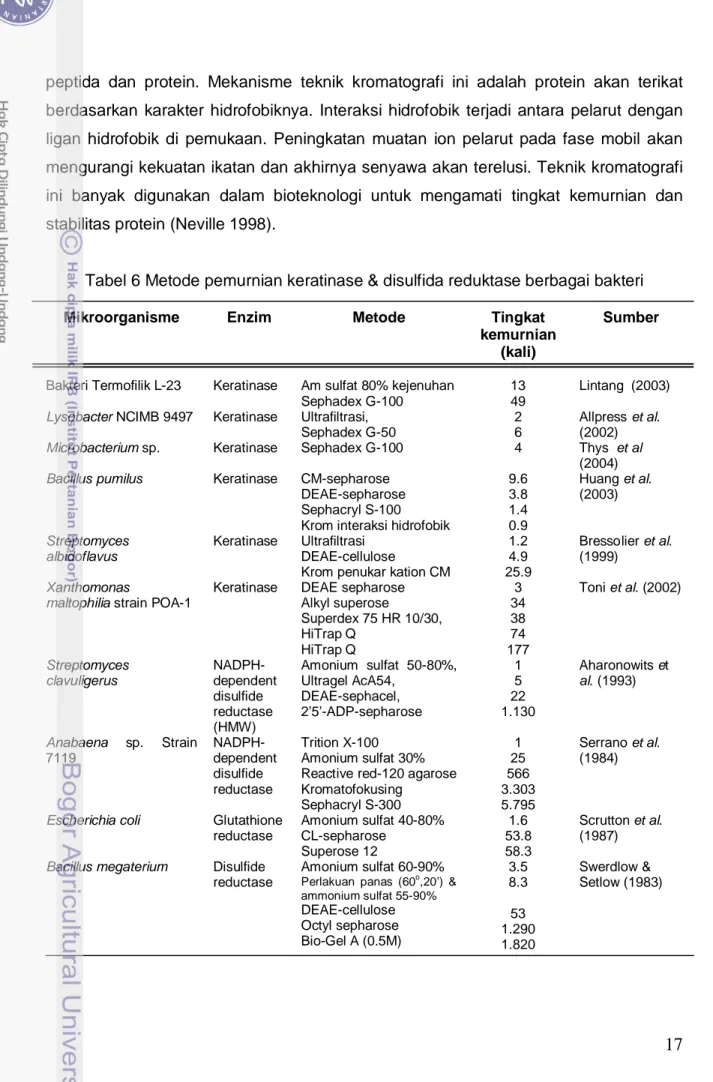 Tabel 6 Metode pemurnian keratinase &amp; disulfida reduktase berbagai bakteri 