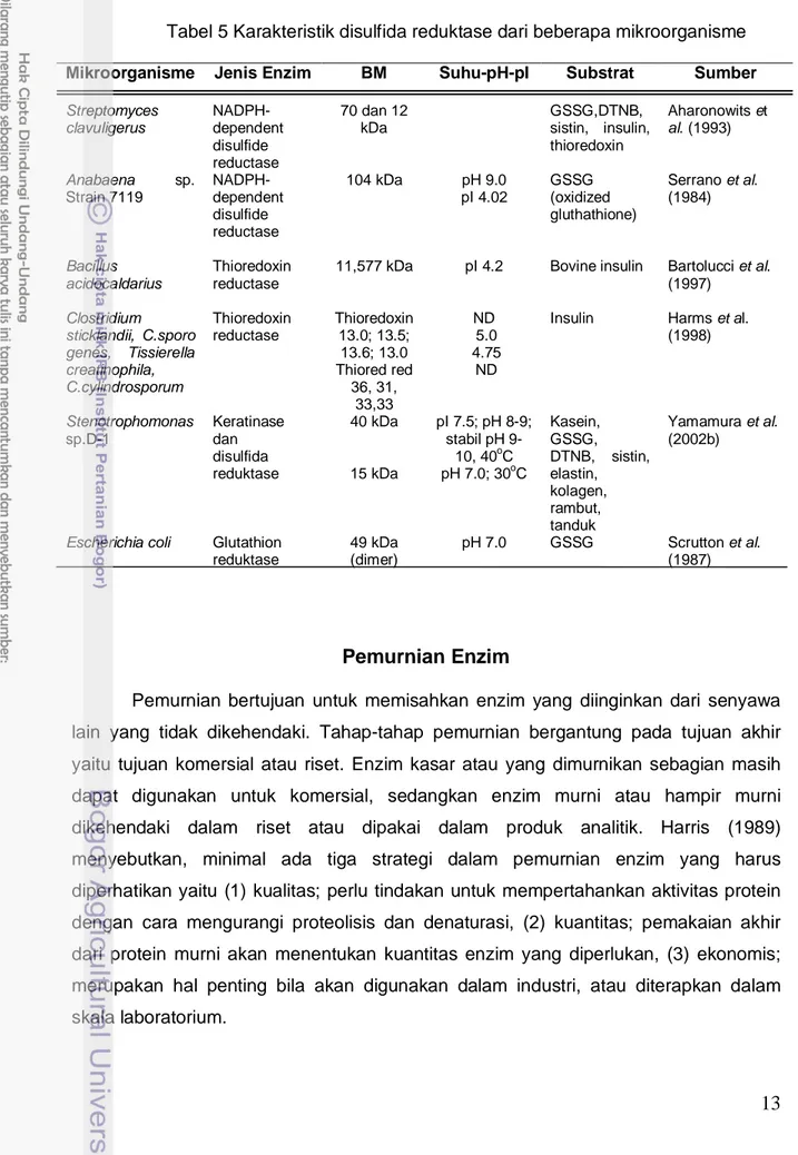 Tabel 5 Karakteristik disulfida reduktase dari beberapa mikroorganisme  Mikroorganisme  Jenis Enzim  BM   Suhu-pH-pI  Substrat  Sumber  