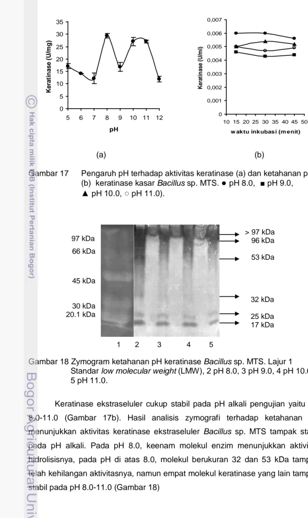Gambar 17   Pengaruh pH terhadap aktivitas keratinase (a) dan ketahanan pH   (b)  keratinase kasar Bacillus sp