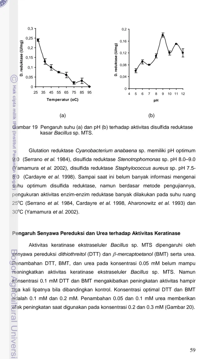 Gambar 19  Pengaruh suhu (a) dan pH (b) terhadap aktivitas disulfida reduktase               kasar Bacillus sp
