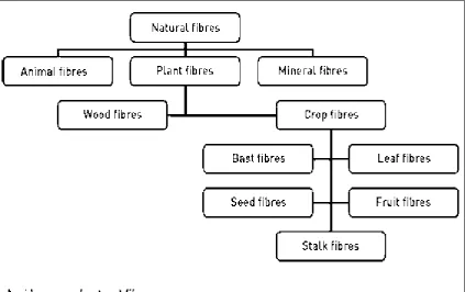 Figure 1.2 : Classification of fibers. 