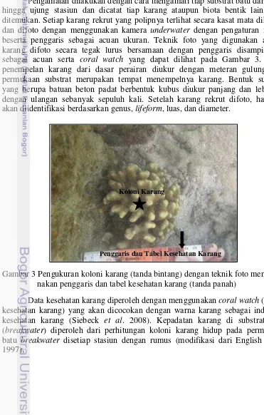 Gambar 3 Pengukuran koloni karang (tanda bintang) dengan teknik foto menggu-