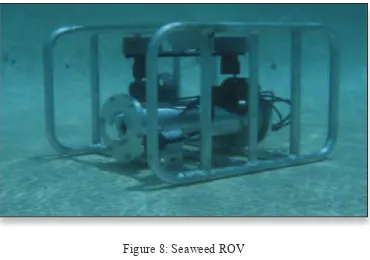 Figure 8: Seaweed ROV  