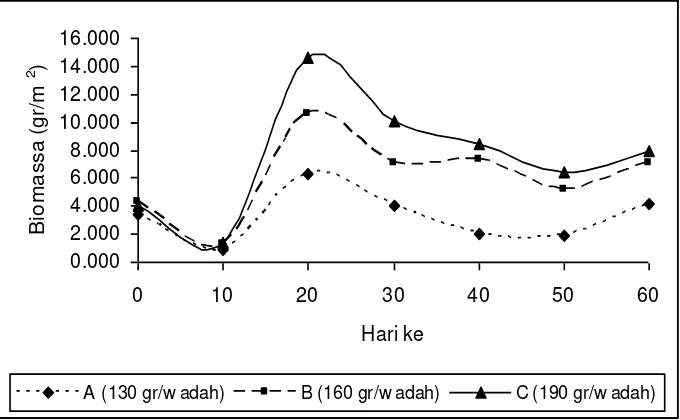 Gambar 3. Pertumbuhan Biomassa Rata-rata Cacing (g/m2) pada Setiap Perlakuan Selama Masa Pemeliharaan
