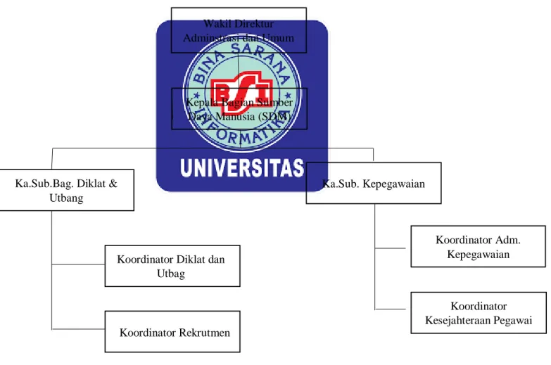Gambar III.1 Struktur Organisasi BagianSumber Daya Manusia Wakil Direktur 