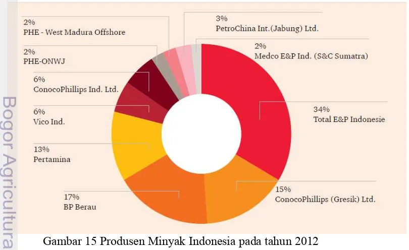 Gambar 15 Produsen Minyak Indonesia pada tahun 2012 