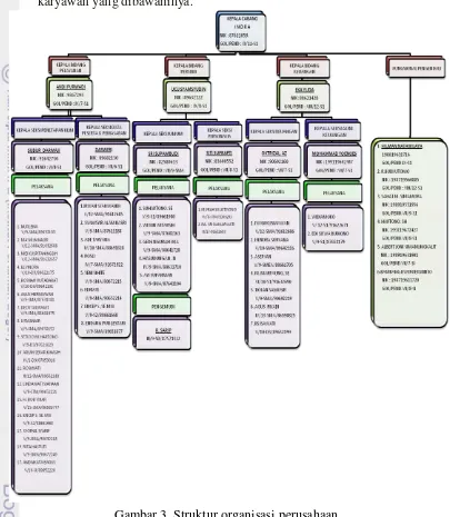 Gambar 3. Struktur organisasi perusahaan 