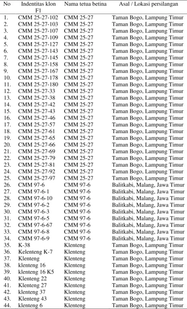 Tabel 2. Klon-klon F1 dari tetua betina CMM 25-27, CMM 97-6, Klenteng, Malang-6, Mulyo, Mentik urang, dan UJ-3