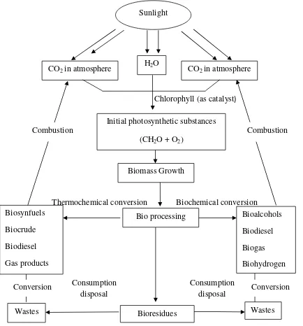 Figure 2.2 Carbon cycle, photosynthesis and biomass technologies 