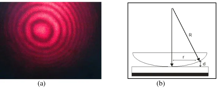 Gambar 10. (a) Cincin gelap dan terang pada cincin newton (b) Penjelasan sinar pada cincin Newton 