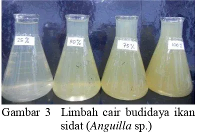 Gambar 2  Alga filamen  Spirogyra sp. 