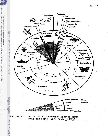 Gambar 4, Jumlah Re1 a t i f  Berbagai Species Hewan 