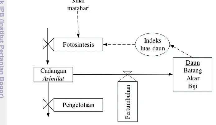 Gambar 7.  Diagram relasi antar elemen sistem dengan faktor pembatas cahaya 