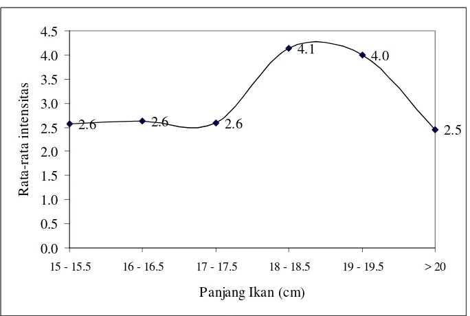 Gambar 8 Rata-rata intensitas larva Anisakidae pada ikan kembung (Rastrelliger spp.) menurut panjang ikan 